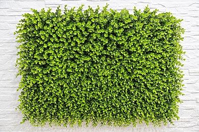 更丰富的自定义功能《加油站大亨》将推出全新DLC《Can Touch This》